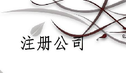 注冊(cè)公司為什么推薦找代理注冊(cè)公司的機(jī)構(gòu)呢？