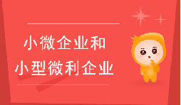 小微企業(yè)和小型微利企業(yè)有什么區(qū)別？